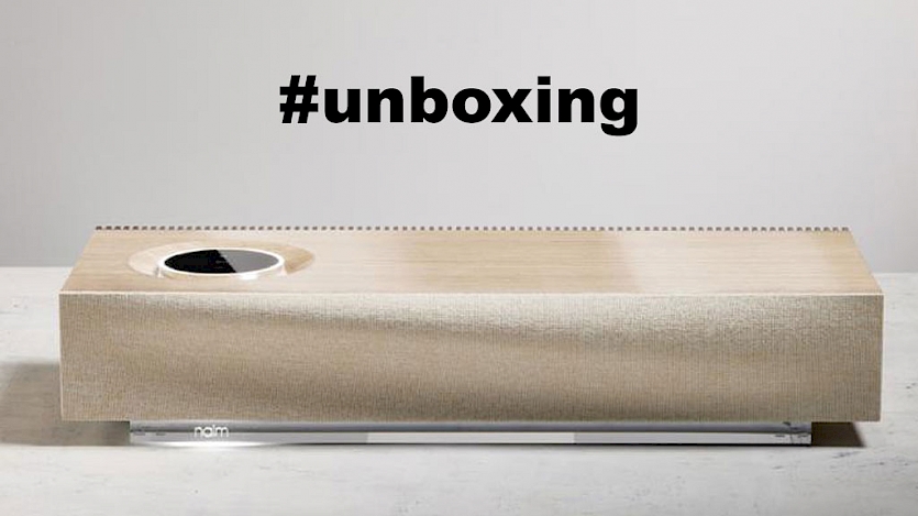 naim muso wood front view on grey background