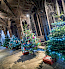 church christmas trees